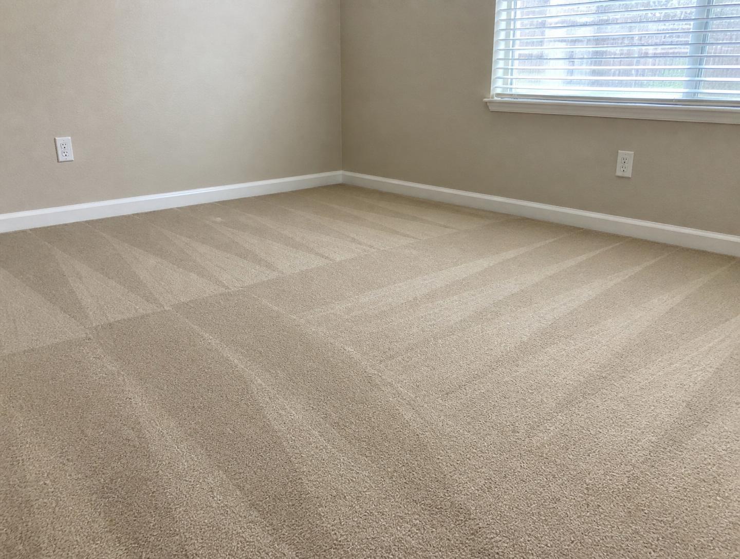 Carpet after professional cleaning