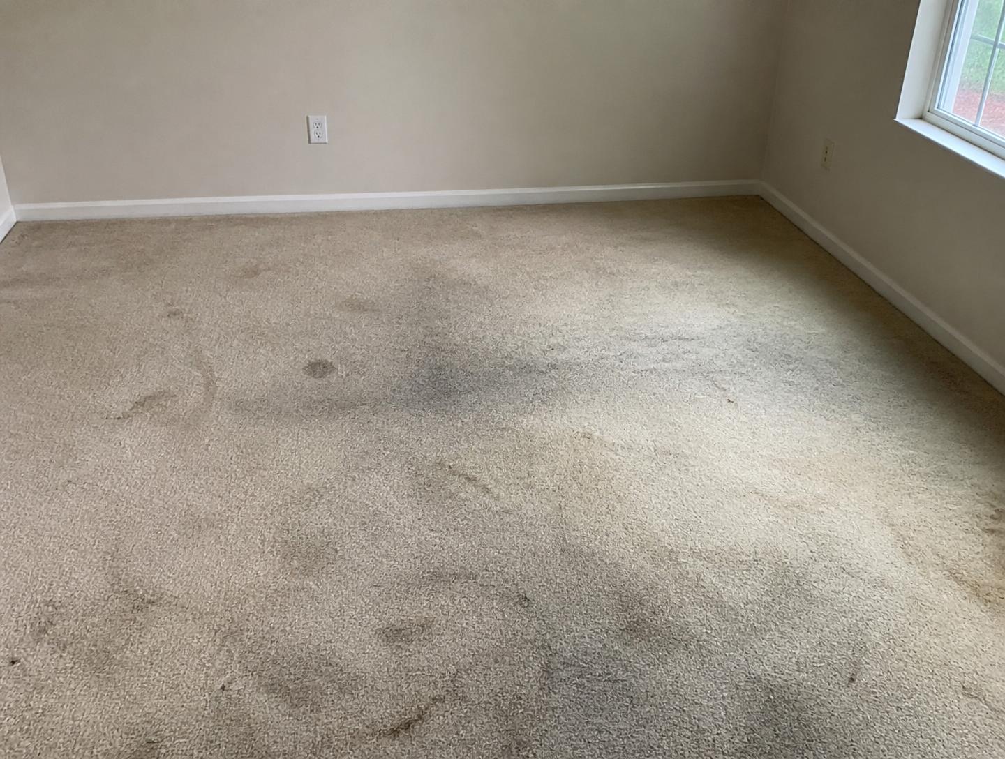 Carpet before professional cleaning
